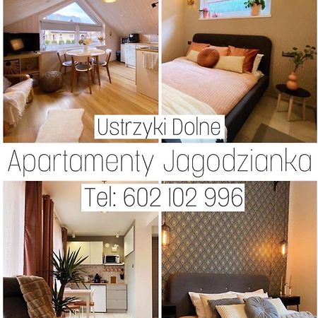 Apartamenty Jagodzianka - Jacuzzi, Sauna, Teznia Solankowa اوسترزوكي دولن المظهر الخارجي الصورة