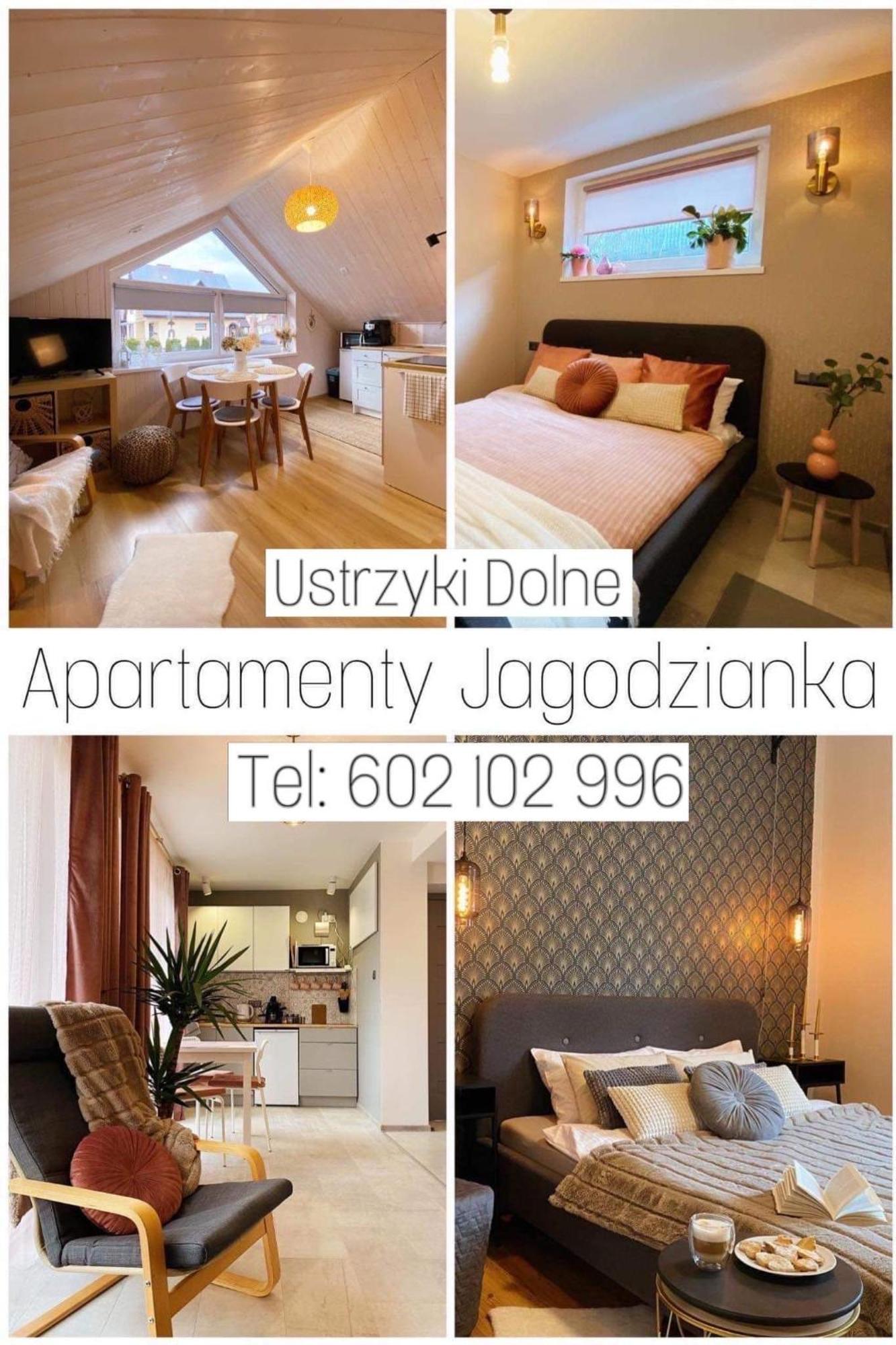 Apartamenty Jagodzianka - Jacuzzi, Sauna, Teznia Solankowa اوسترزوكي دولن المظهر الخارجي الصورة